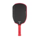 JOOLA_Agassi_Pro_16mm_Pickleball_Paddle_01